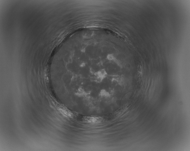 X0000052650663200507011414