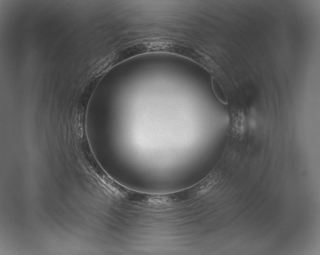 X0000052650666200507011414