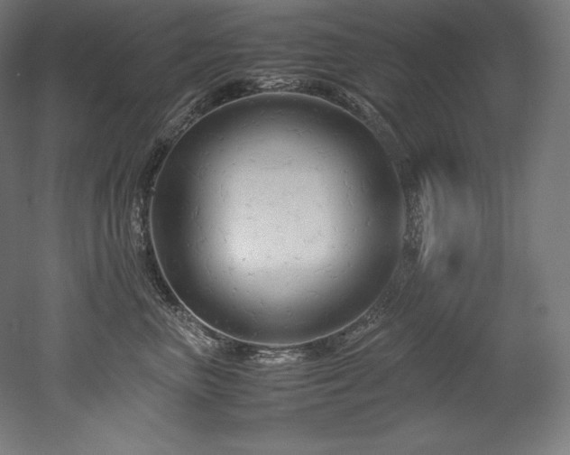 X0000052650667200507011414