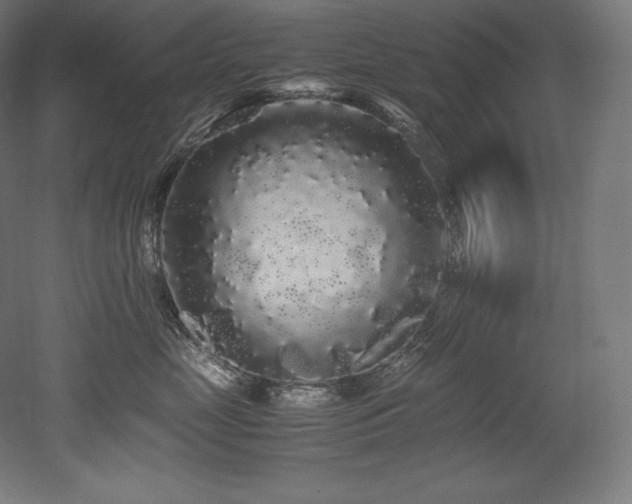 X0000052650669200507011414