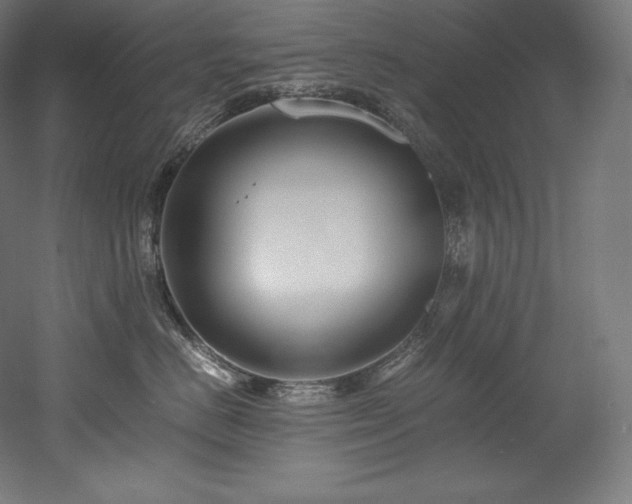 X0000052650670200507011414