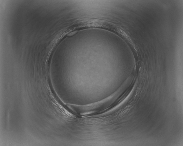 X0000052650673200507011413
