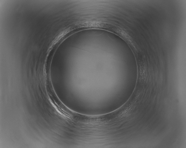 X0000052650674200507011413
