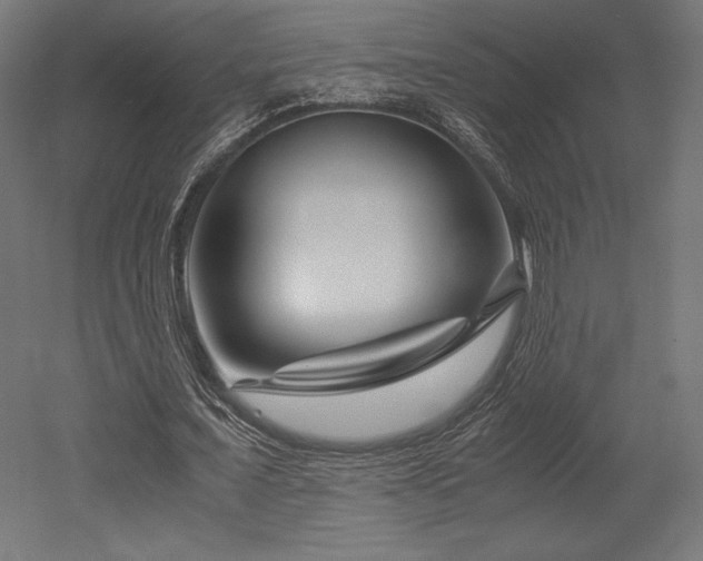 X0000052650675200507011413