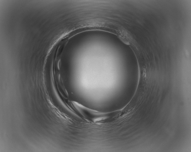 X0000052650676200507011413