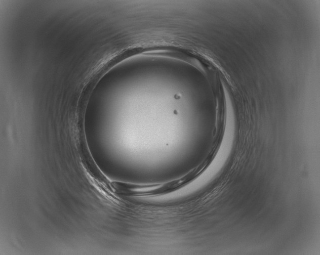 X0000052650677200507011413