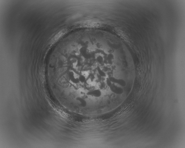 X0000052650679200507011413