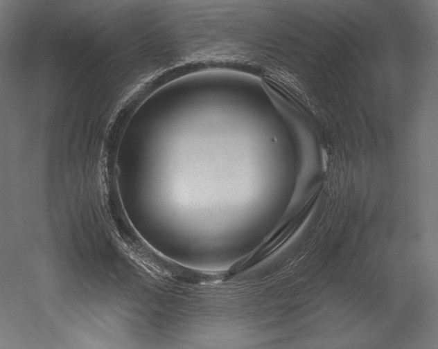 X0000052650680200507011413
