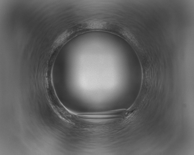 X0000052650682200507011413