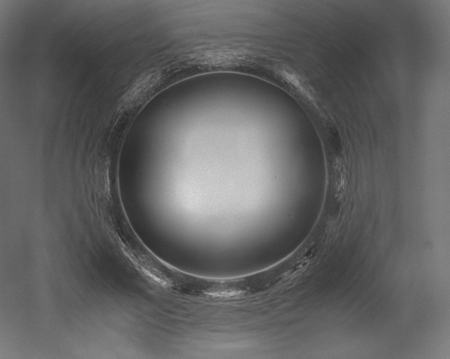 X0000052650685200507011413