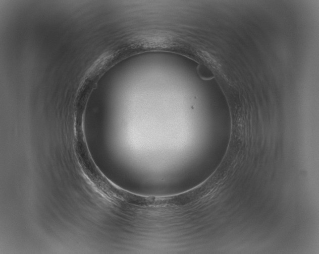 X0000052650686200507011413