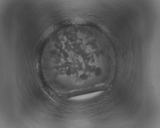 X0000052650687200507011413