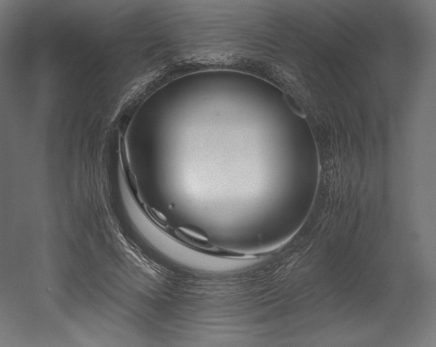 X0000052650688200507011413