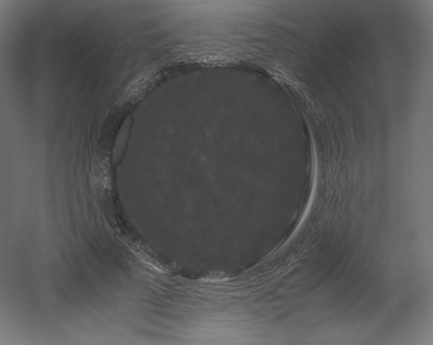 X0000052650689200507011413