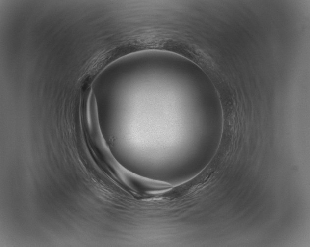 X0000052650693200507011413