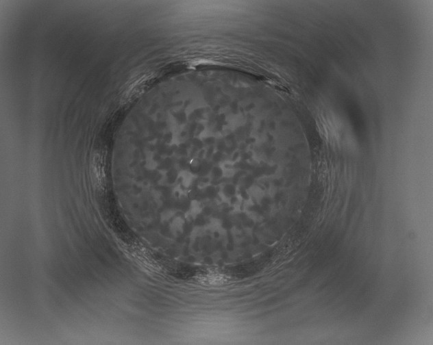 X0000052650695200507011413
