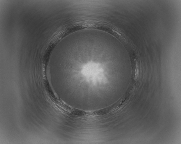 X0000052650696200507011413