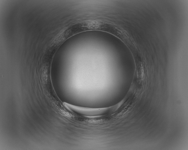X0000052650697200507011413