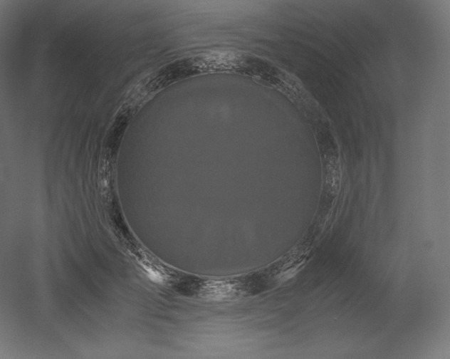 X0000052650701200507011413