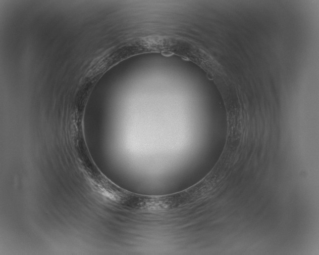 X0000052650702200507011413