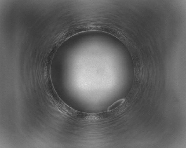 X0000052650704200507011413