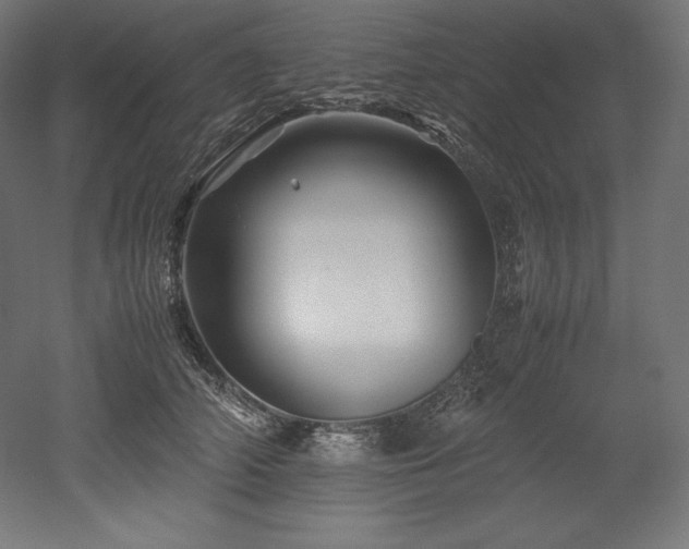 X0000052650706200507011412