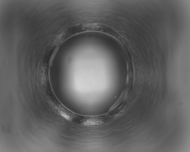 X0000052650708200507011412