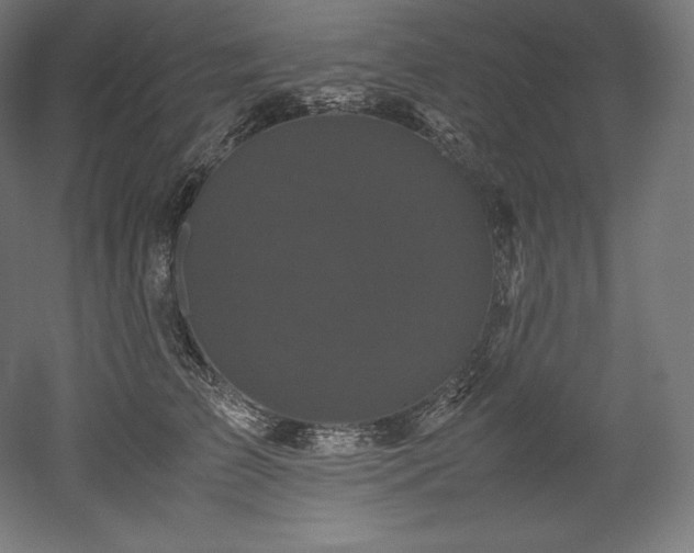 X0000052650709200507011412
