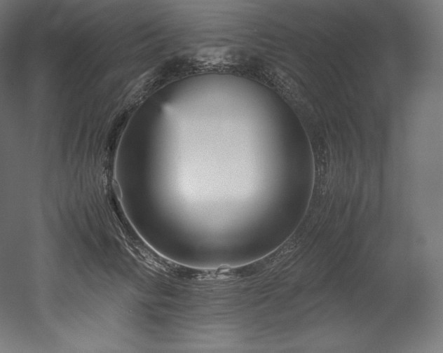 X0000052650710200507011412