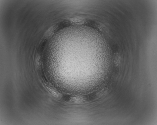 X0000052650713200507011412
