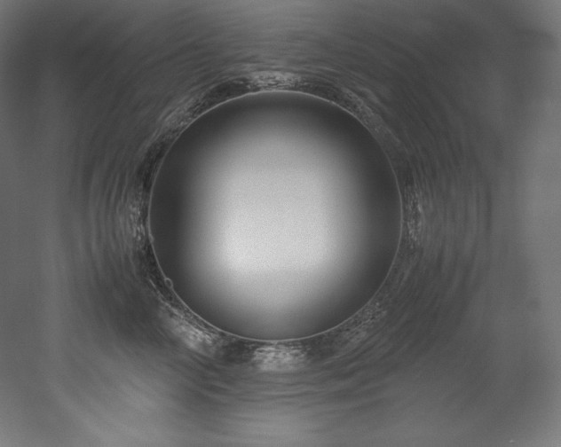 X0000052650714200507011412