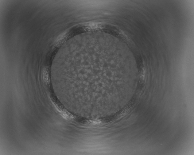 X0000052650715200507011412