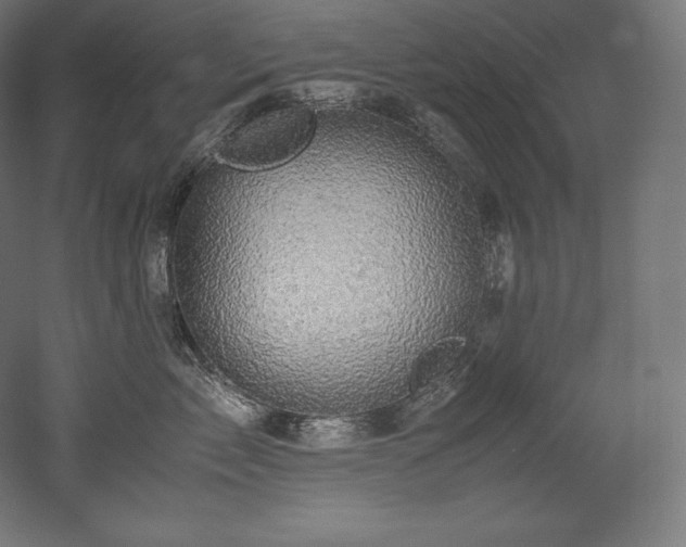 X0000052650717200507011412