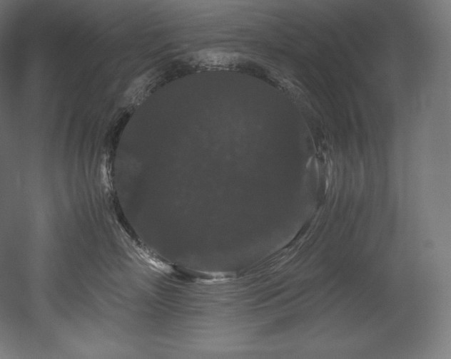 X0000052650718200507011412