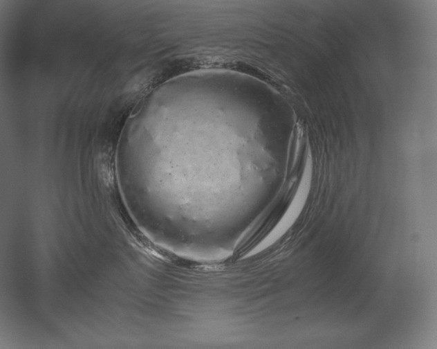 X0000052650719200507011412