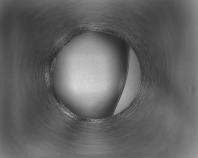 X0000052650720200507011412