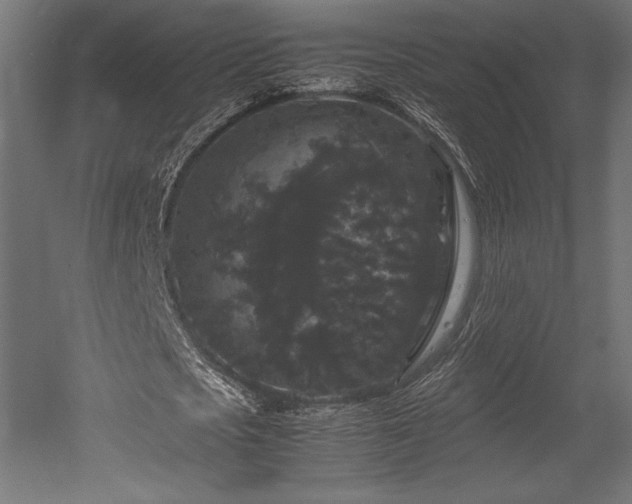 X0000052650721200507011411