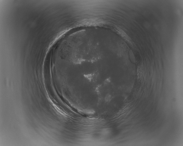 X0000052650722200507011411