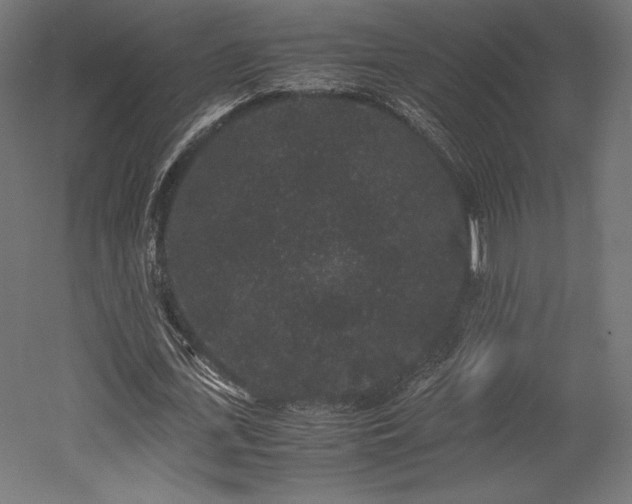 X0000052650723200507011411