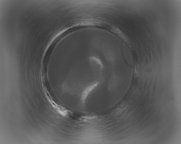 X0000052650724200507011411