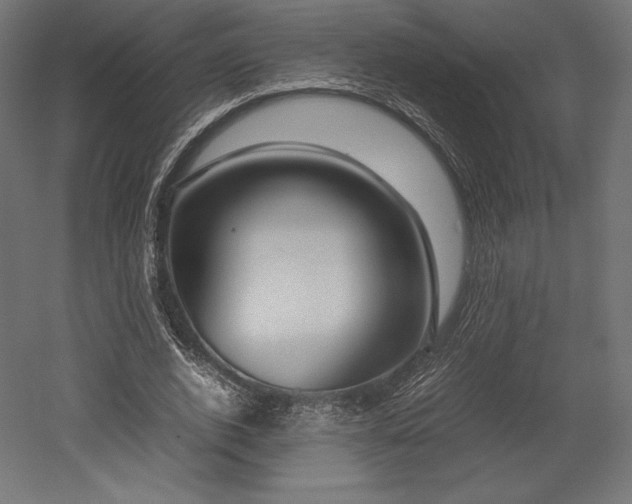 X0000052650728200507011412