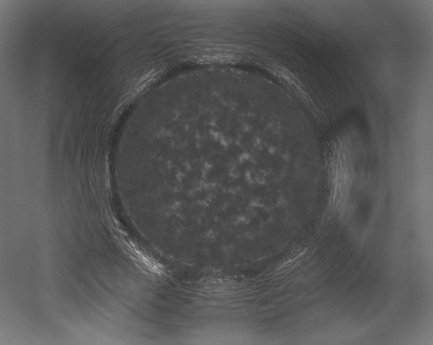 X0000052650729200507011412
