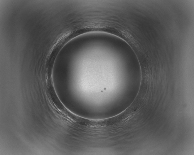 X0000052650731200507011412