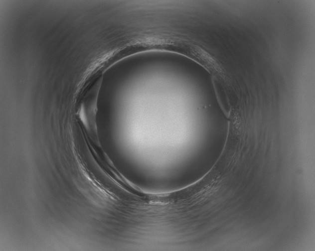 X0000052650732200507011412