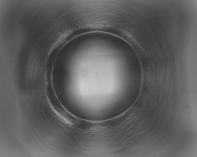 X0000052650734200507011412