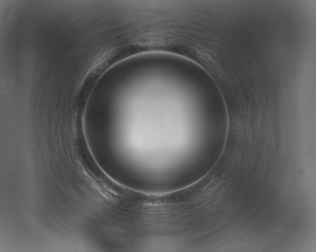 X0000052650735200507011412