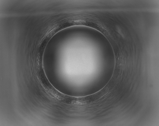 X0000052650739200507011412