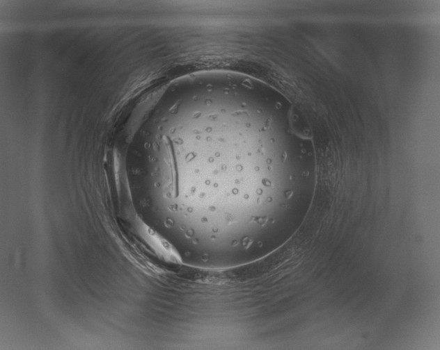 X0000052650742200507011412