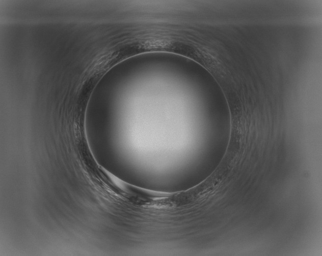 X0000052650743200507011412