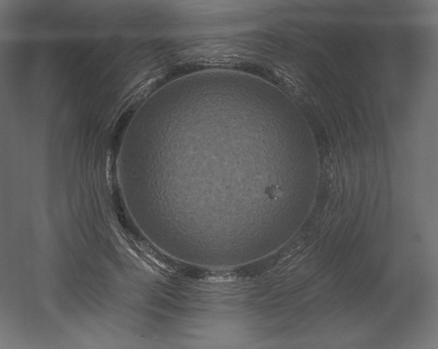 X0000052650744200507011412